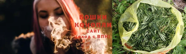 прущие грибы Карпинск