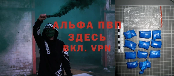 спиды Каменногорск