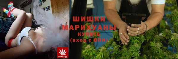 прущие грибы Карпинск