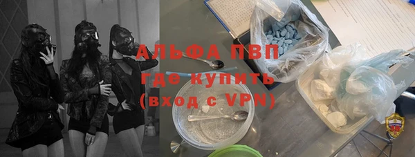 прущие грибы Карпинск