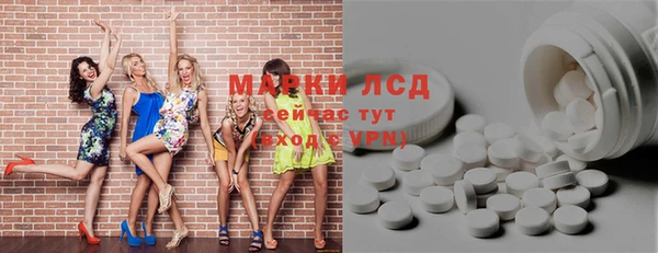 прущие грибы Карпинск