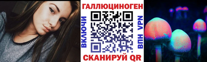 где купить наркоту  Пучеж  Галлюциногенные грибы GOLDEN TEACHER 